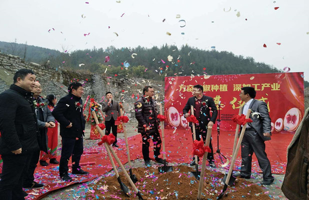 萬(wàn)畝辣椒基地